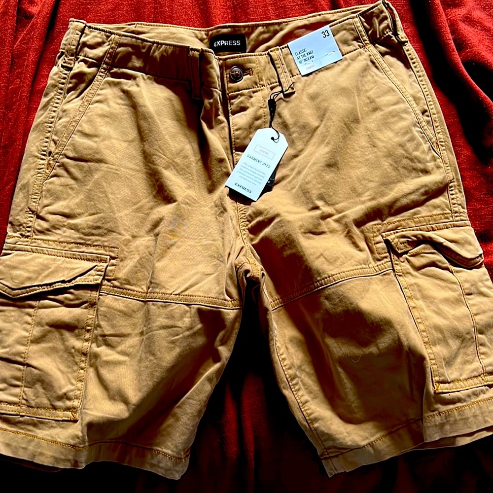 Express  Mens cargo shorts
